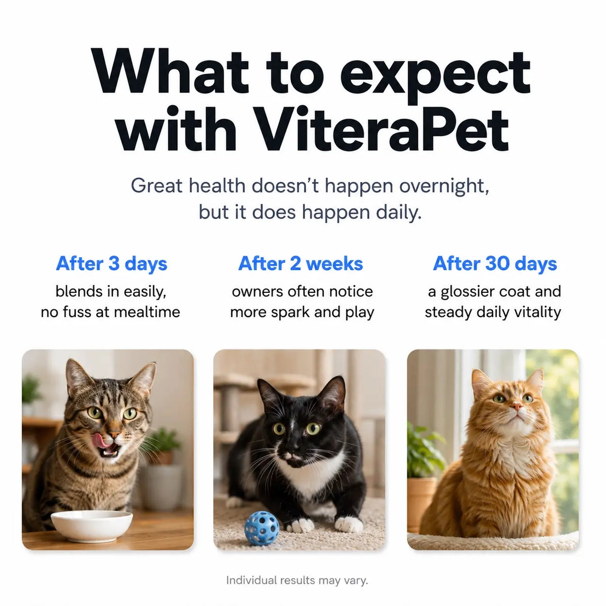 ViteraPet Taurine Supplement
