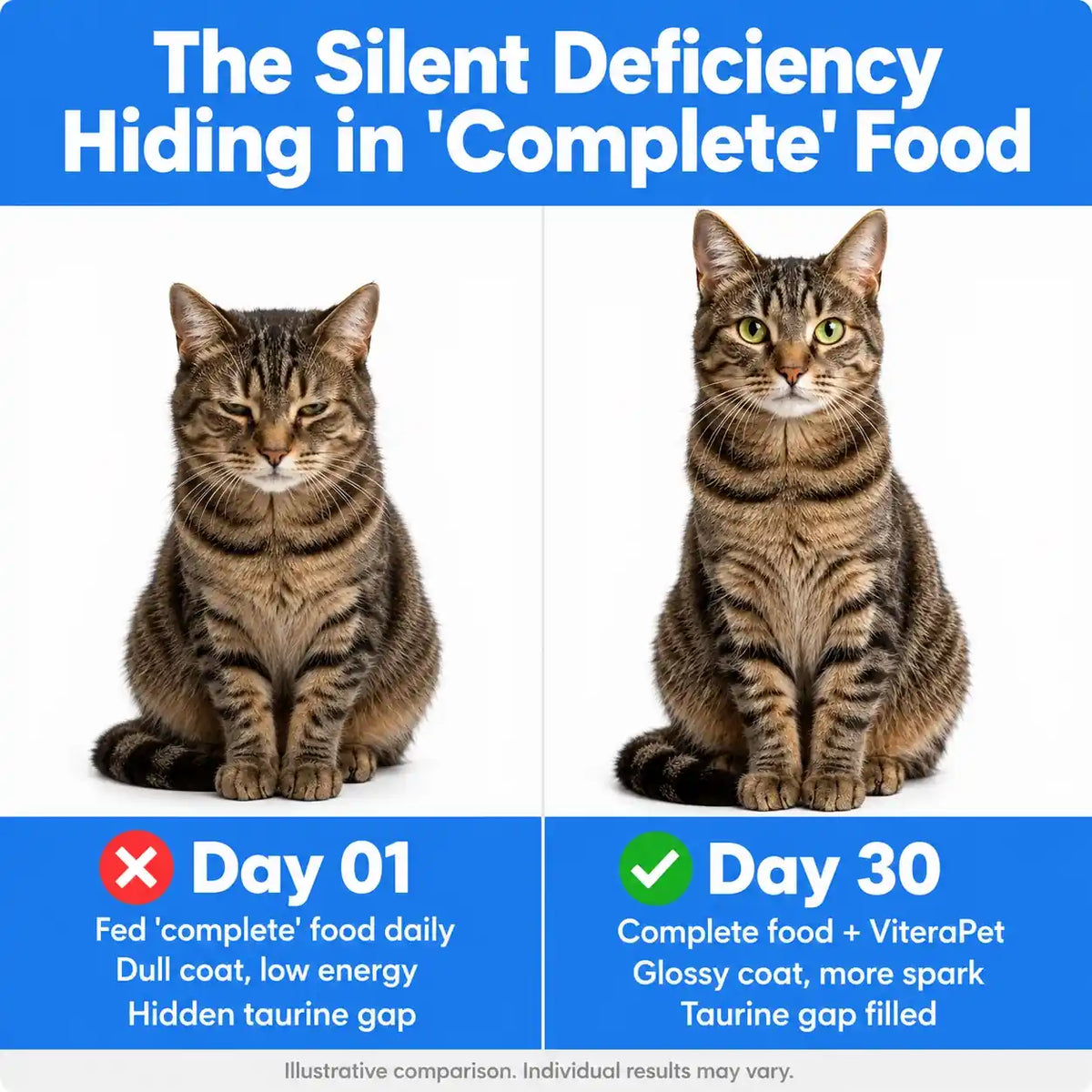 ViteraPet Taurine Supplement